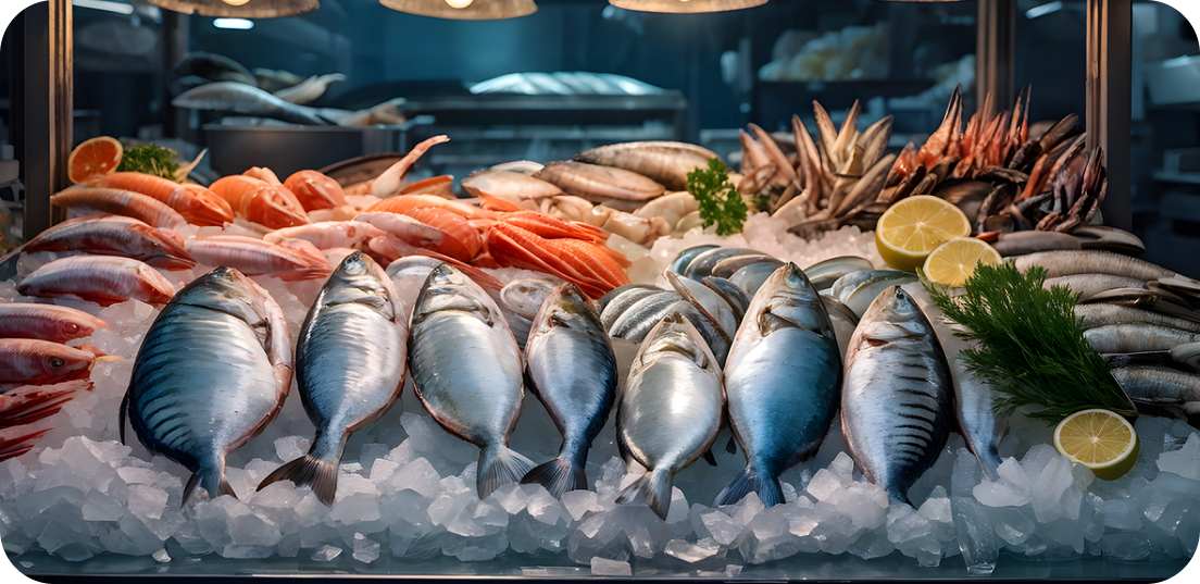  بازار ماهی‌فروشان کیش